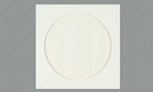 White With Window