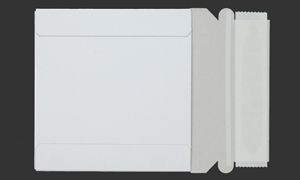 White 5-1/4 x 5-1/4