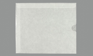 GLASSINE ENVELOPES Translucent 10 x 12 