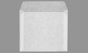 GLASSINE ENVELOPES Translucent 9-1/2 x 11 